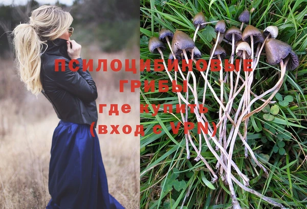 a pvp Алзамай